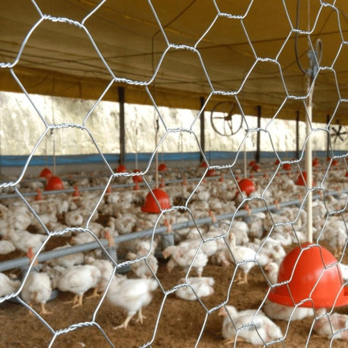 Tela Galvanizada Galinheiro Horta 1,50x50mts Fio 23 Vonder Tela Galvanizada Galinheiro Horta 1,50x50mts Fio 23 Vonder