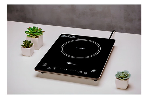 Fogão Cooktop 1 Queimador Indução Preto 127v Fischer